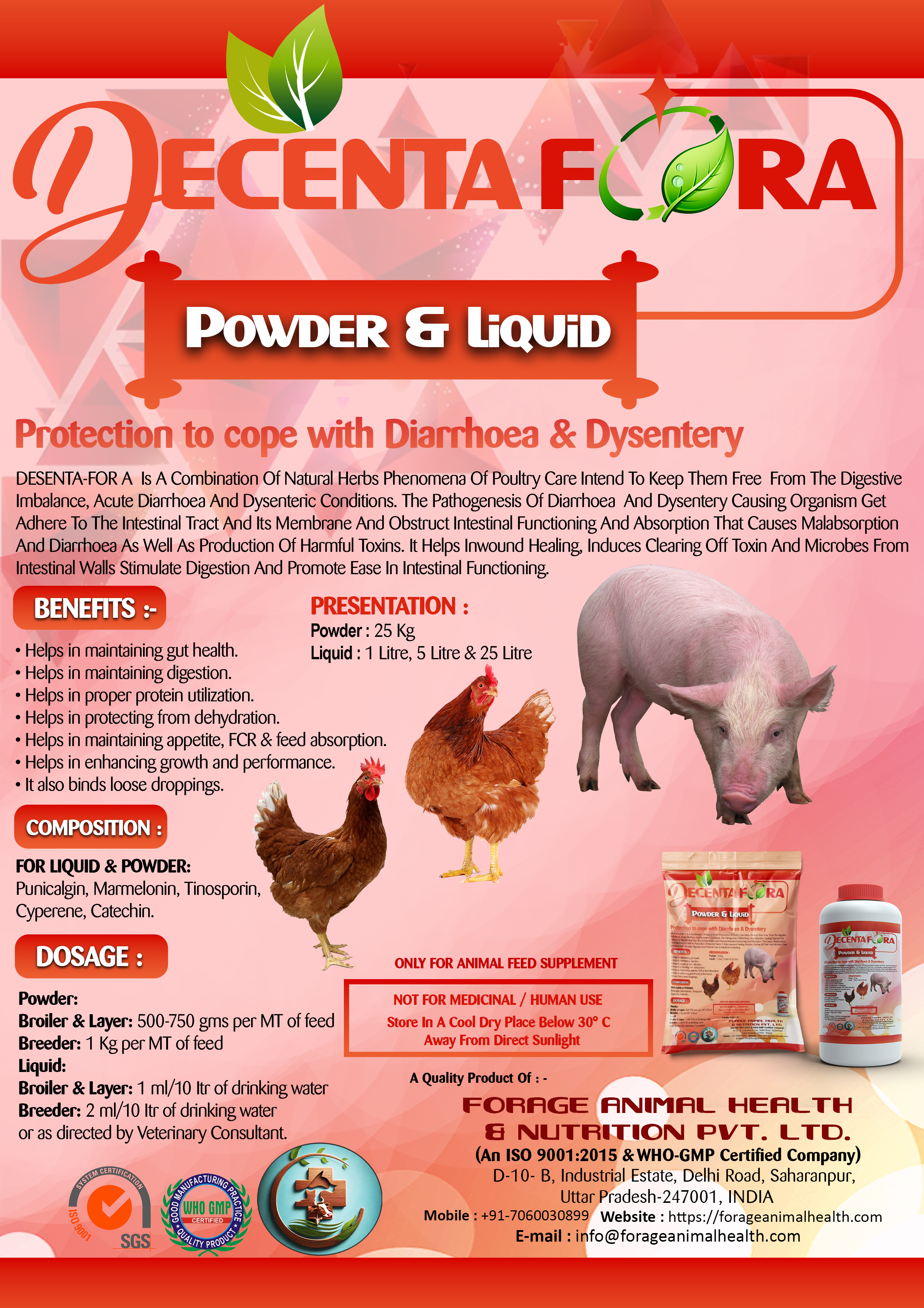 DESENTA FORA DESENTA FORA